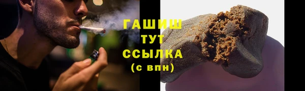 PSILOCYBIN Бежецк