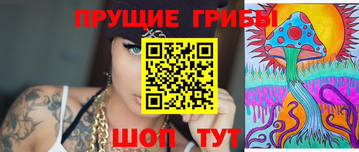 купить наркотики сайты  Черногорск  Псилоцибиновые грибы мицелий 