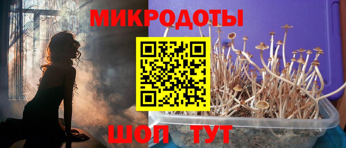 Черногорск  Псилоцибиновые грибы ЛСД  Вход с VPN 